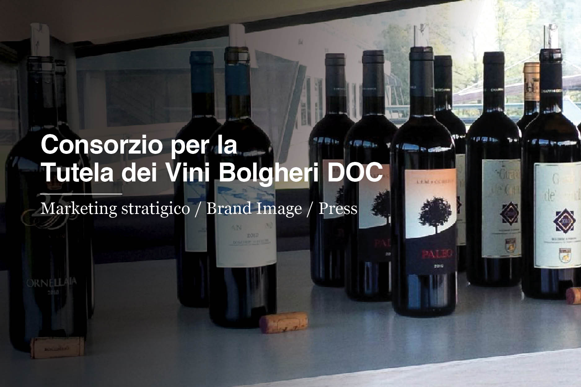 Bolgheri Brand Identity